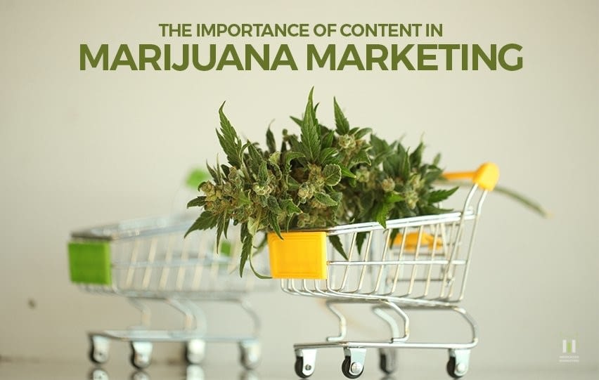 Content in Marijuana Marketing