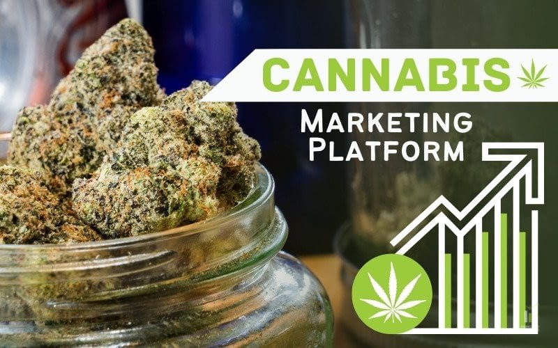 cannabis marketing platform