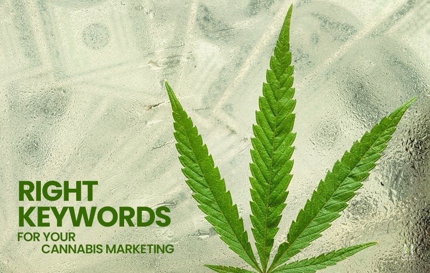 Right Keywords to Up Your Cannabis Marketing Game