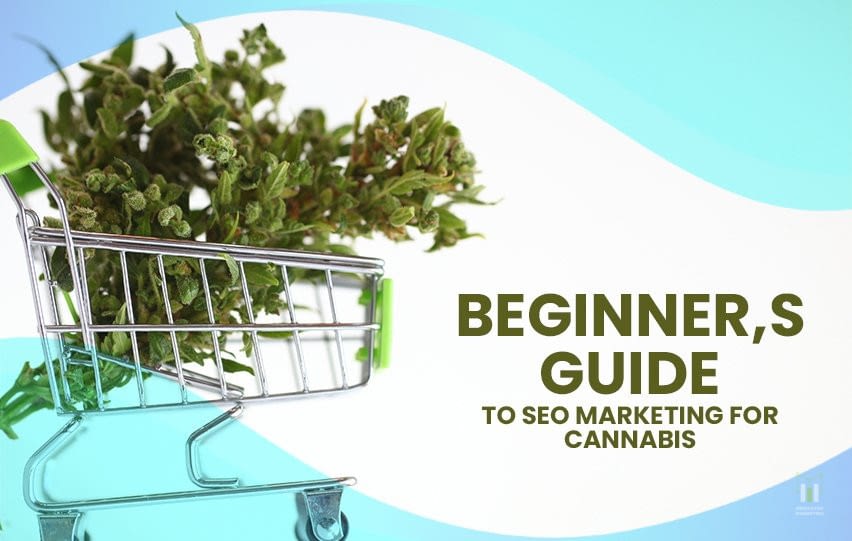 Guide to SEO Marketing for Cannabis