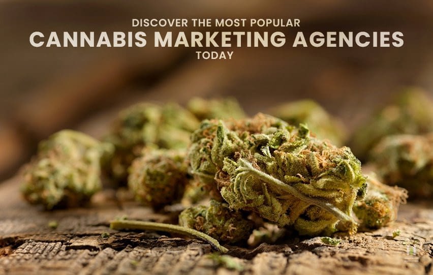 Most Popular Cannabis Marketing Agencies Today