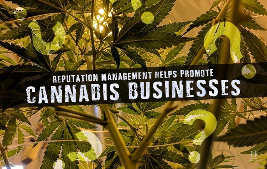 Reputation Management Helps Promote Cannabis Businesses