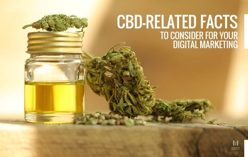 CBD-Related Facts to Consider for Your Digital Marketing