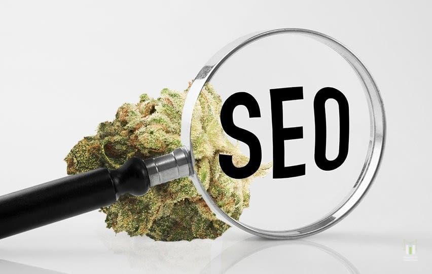 The Role of Backlinks in Cannabis SEO