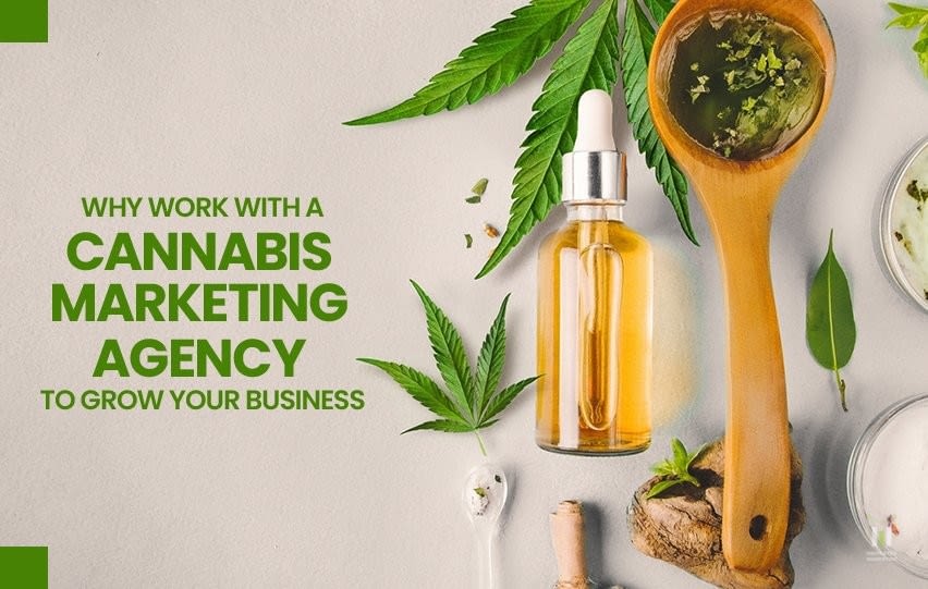 Work with a Cannabis Marketing Agency to Grow Your Business