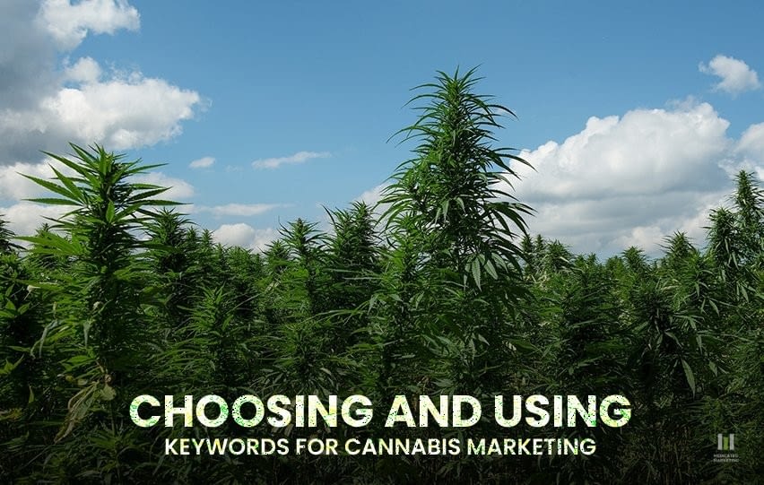 Choosing and Using Keywords for Cannabis Marketing
