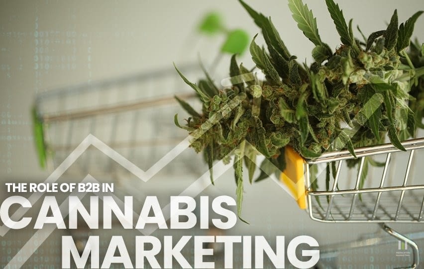 The Role of B2B in Cannabis Marketing