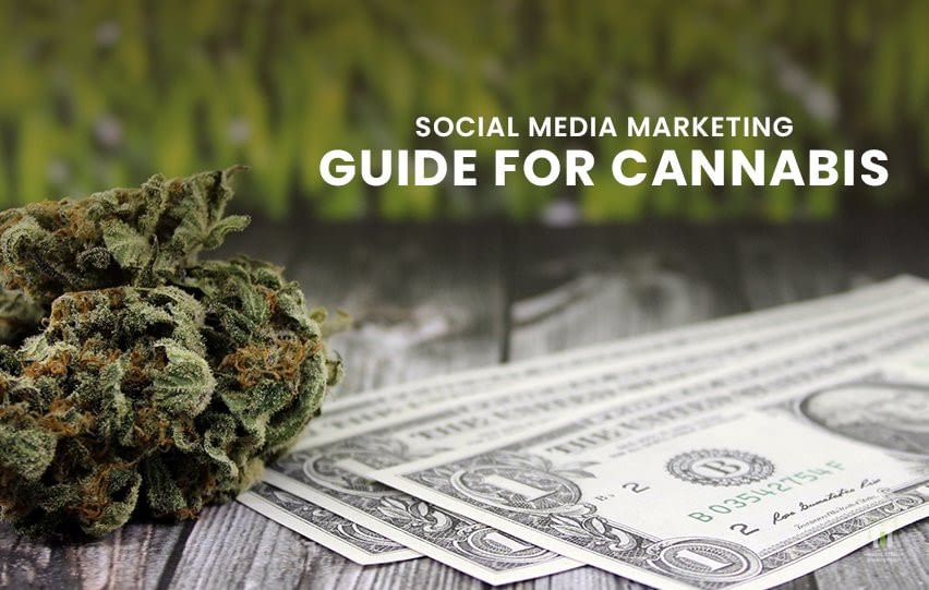 Social Media Marketing Guide for Cannabis