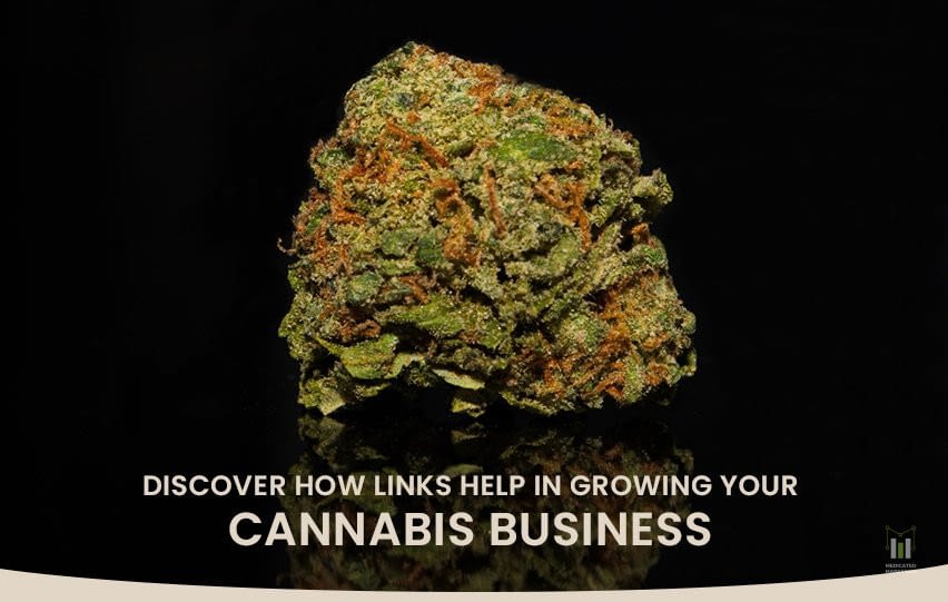 Discover How Links Help in Growing Your Cannabis Business