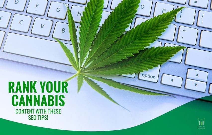 Cannabis Content With These SEO Tips