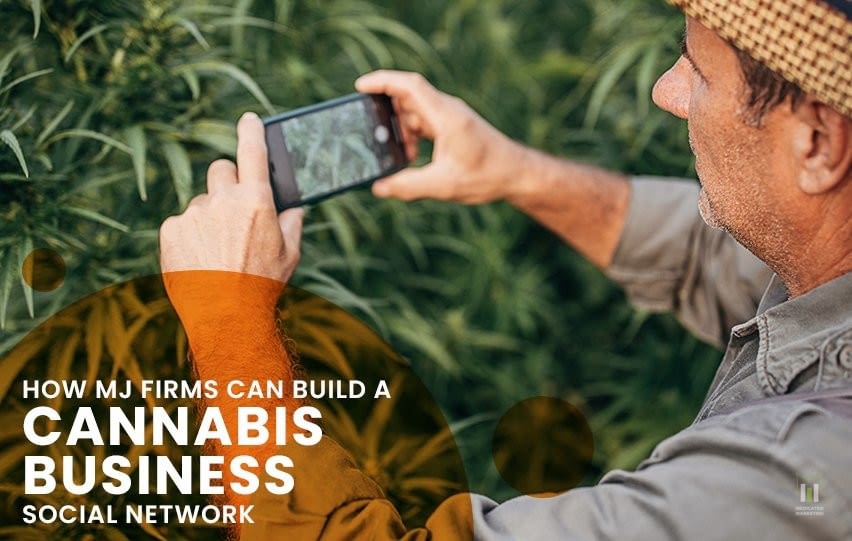 How MJ Firms Can Build a Cannabis Business Social Network