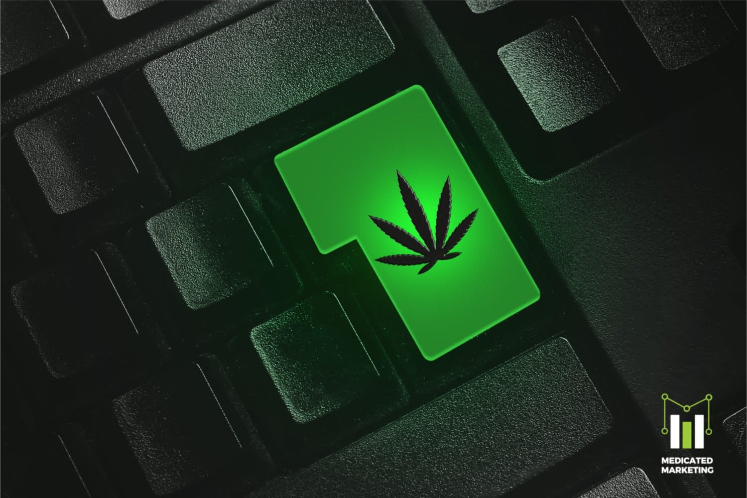 marijuana website seo