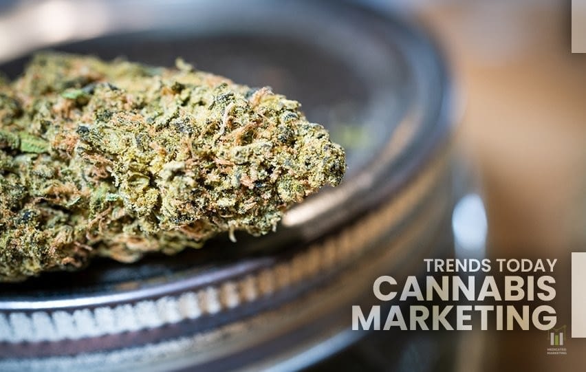 Trends Today in Cannabis Marketing