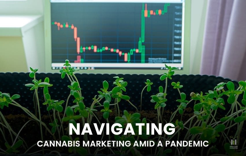 Navigating Cannabis Marketing Amid a Pandemic