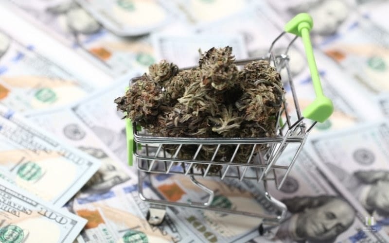 cannabis business funding